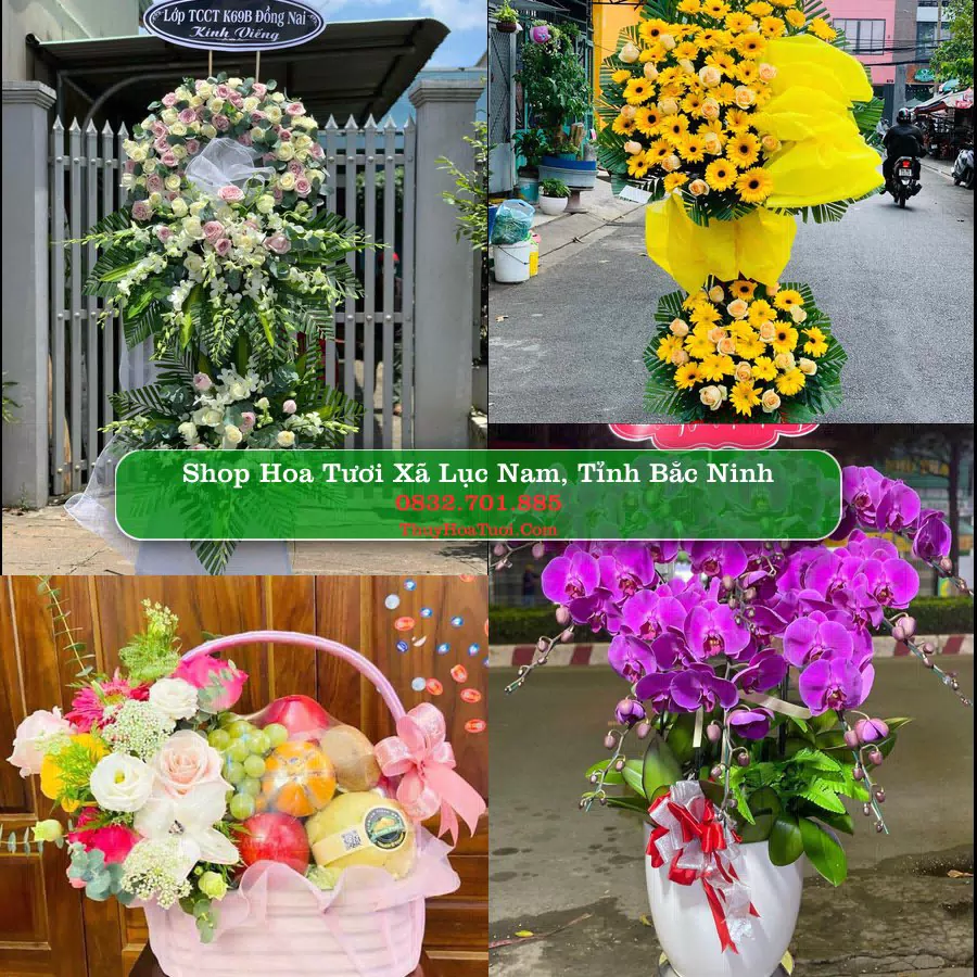 Shop hoa tươi Xã Lục Nam, Tỉnh Bắc Ninh - ThuyHoaTuoi.Com giao hoa tận nơi