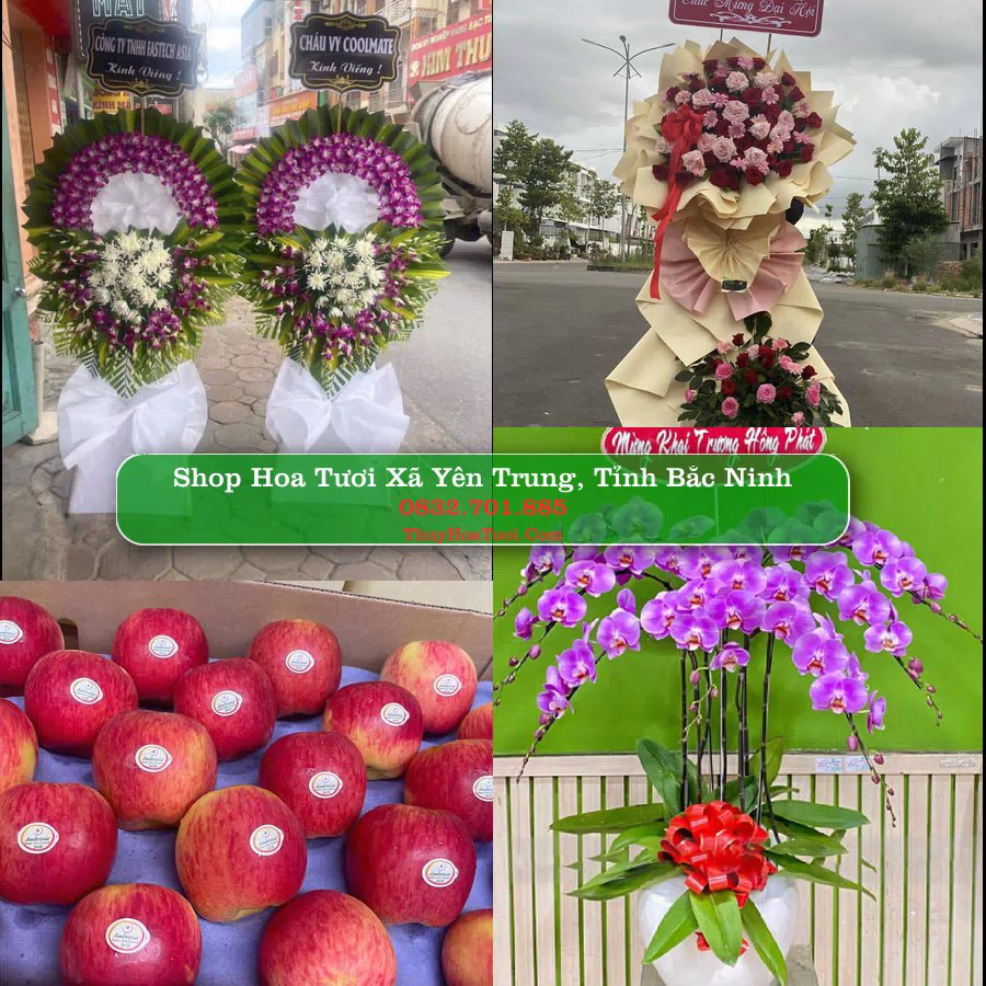 Shop hoa tươi Xã Yên Trung, Tỉnh Bắc Ninh - ThuyHoaTuoi.Com giao hoa tận nơi