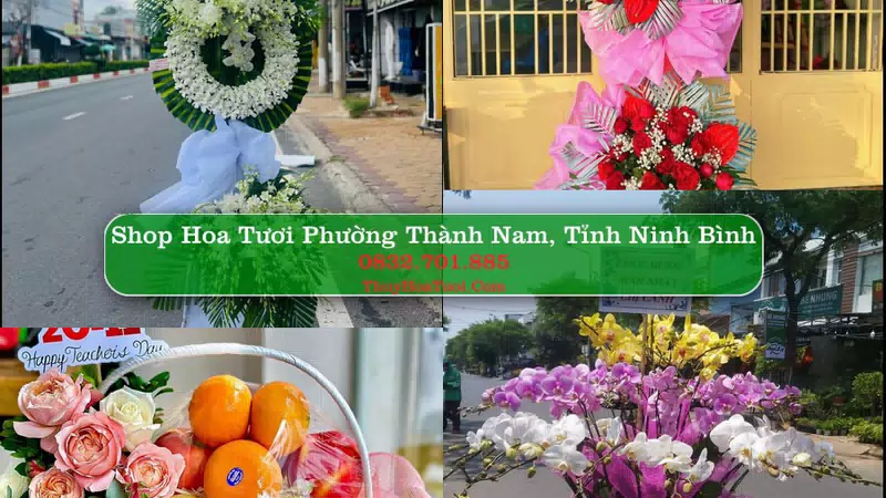 Shop Hoa Tươi Phường Thành Nam - Tỉnh Ninh Bình