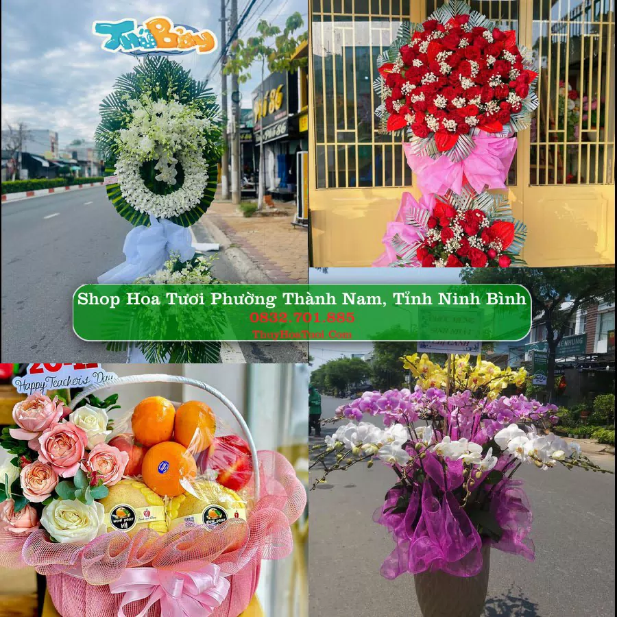 Shop Hoa Tươi Phường Thành Nam - Tỉnh Ninh Bình