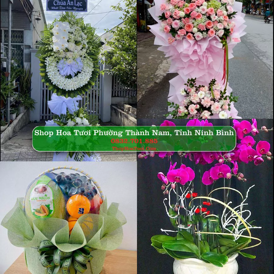 Shop hoa tươi Phường Thành Nam, Tỉnh Ninh Bình - ThuyHoaTuoi.Com giao hoa tận nơi