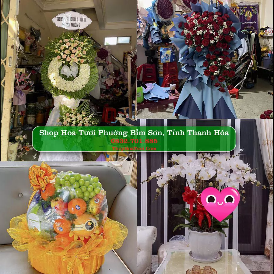 Shop Hoa Tươi Phường Bỉm Sơn - Tỉnh Thanh Hóa