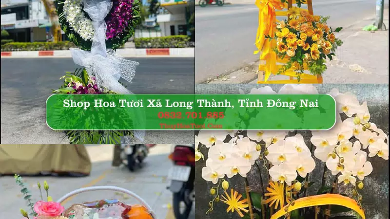 Shop Hoa Tươi Xã Long Thành - Tỉnh Đồng Nai