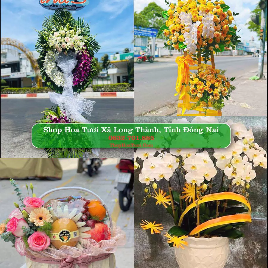 Shop Hoa Tươi Xã Long Thành - Tỉnh Đồng Nai