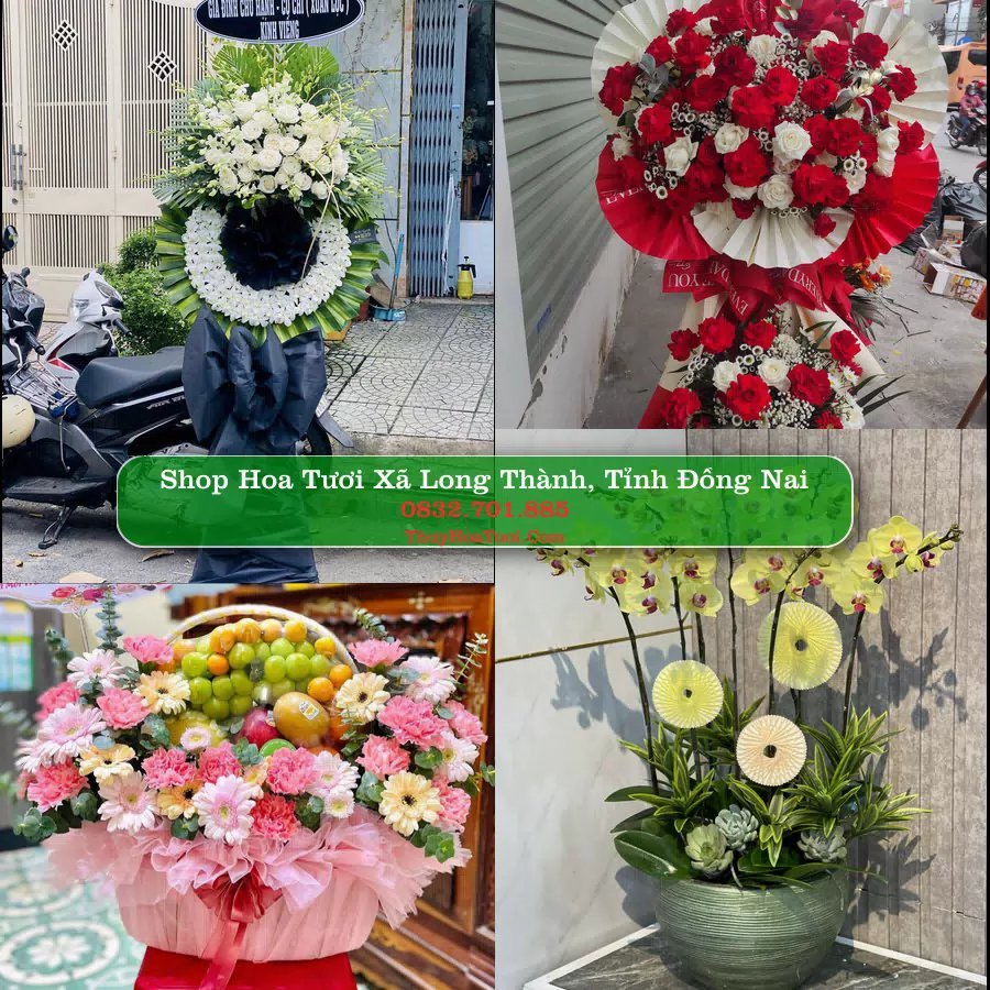 Shop hoa tươi Xã Long Thành, Tỉnh Đồng Nai - ThuyHoaTuoi.Com giao hoa tận nơi