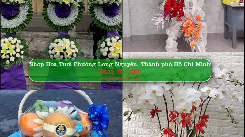Shop Hoa Tươi Phường Long Nguyên - Thành phố Hồ Chí Minh