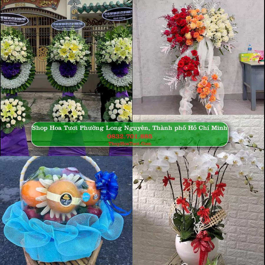 Shop Hoa Tươi Phường Long Nguyên - Thành phố Hồ Chí Minh