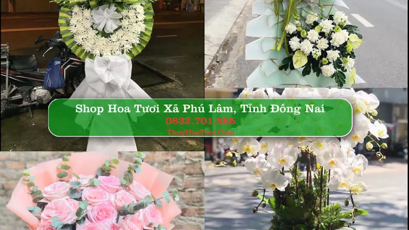 Shop Hoa Tươi Xã Phú Lâm - Tỉnh Đồng Nai