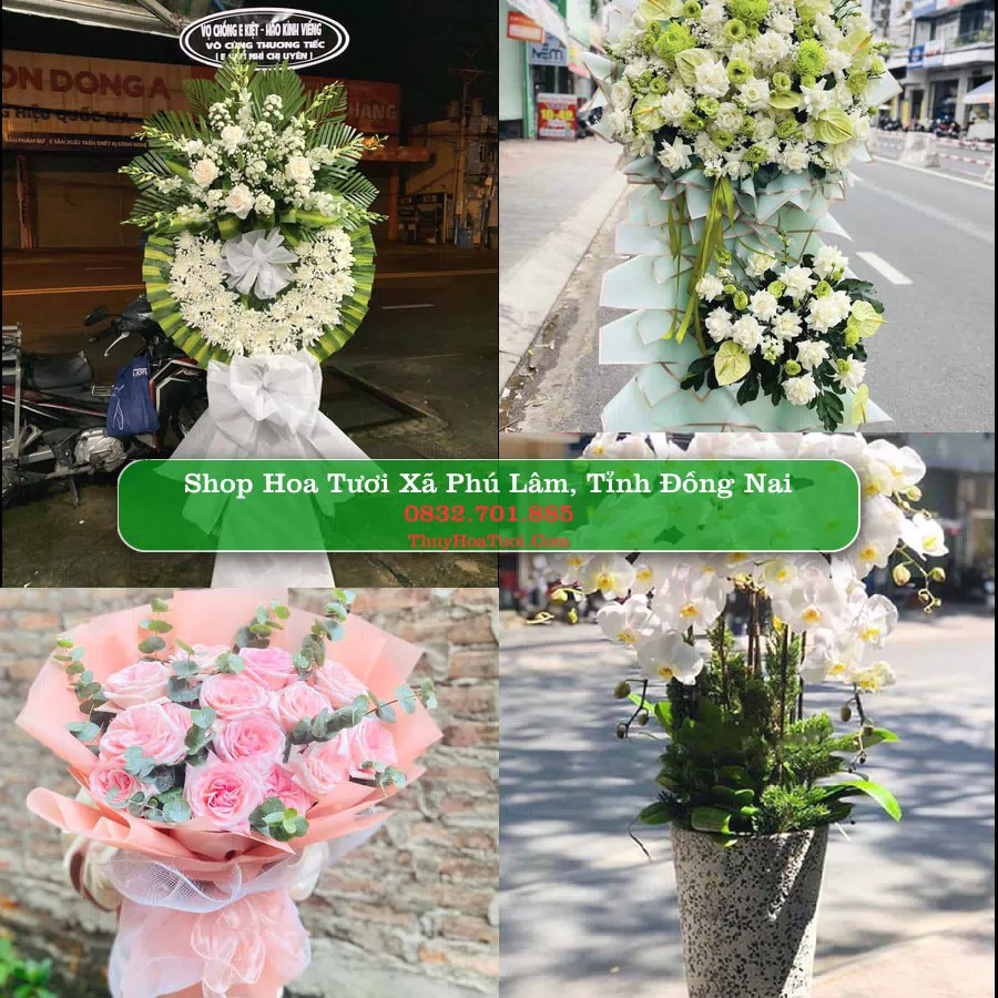 Shop Hoa Tươi Xã Phú Lâm - Tỉnh Đồng Nai