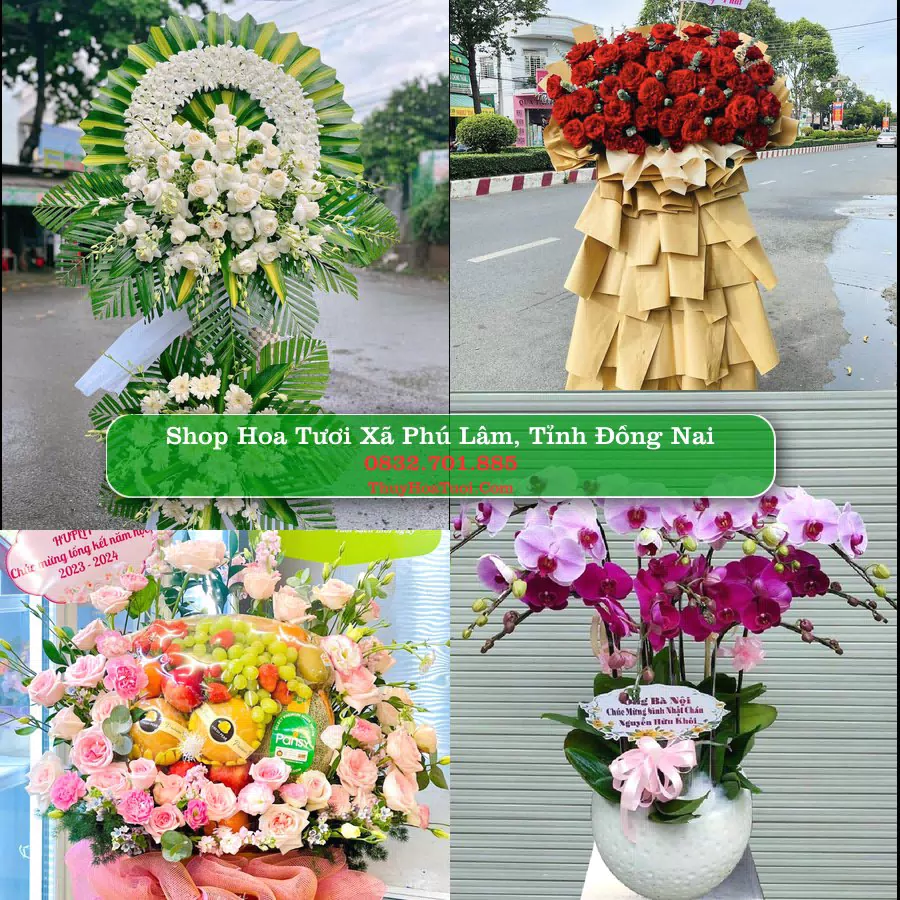 Shop hoa tươi Xã Phú Lâm, Tỉnh Đồng Nai - ThuyHoaTuoi.Com giao hoa tận nơi