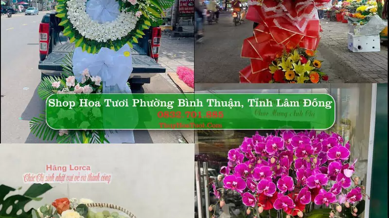 Shop Hoa Tươi Phường Bình Thuận - Tỉnh Lâm Đồng