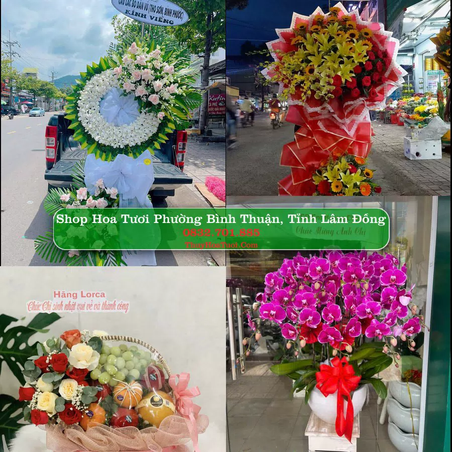 Shop Hoa Tươi Phường Bình Thuận - Tỉnh Lâm Đồng
