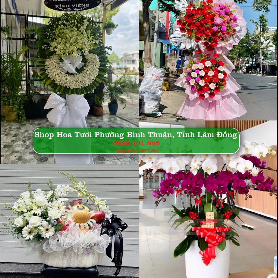 Shop hoa tươi Phường Bình Thuận, Tỉnh Lâm Đồng - ThuyHoaTuoi.Com giao hoa tận nơi