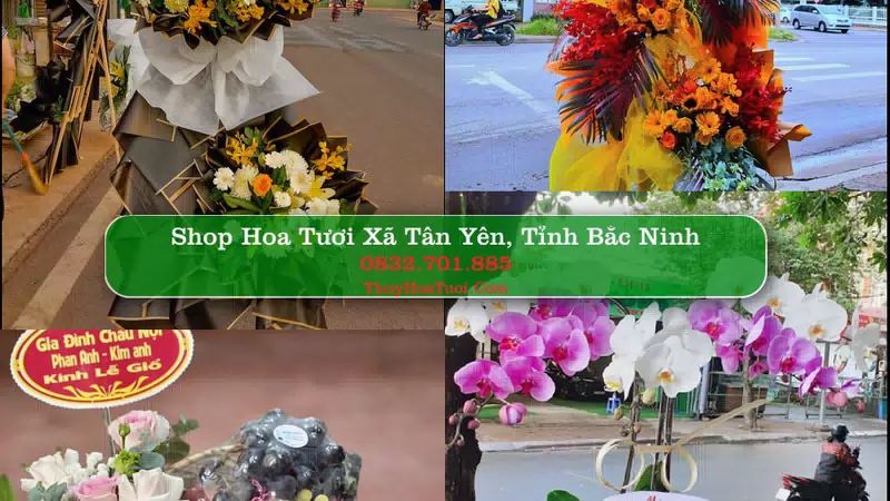 Shop Hoa Tươi Xã Tân Yên - Tỉnh Bắc Ninh