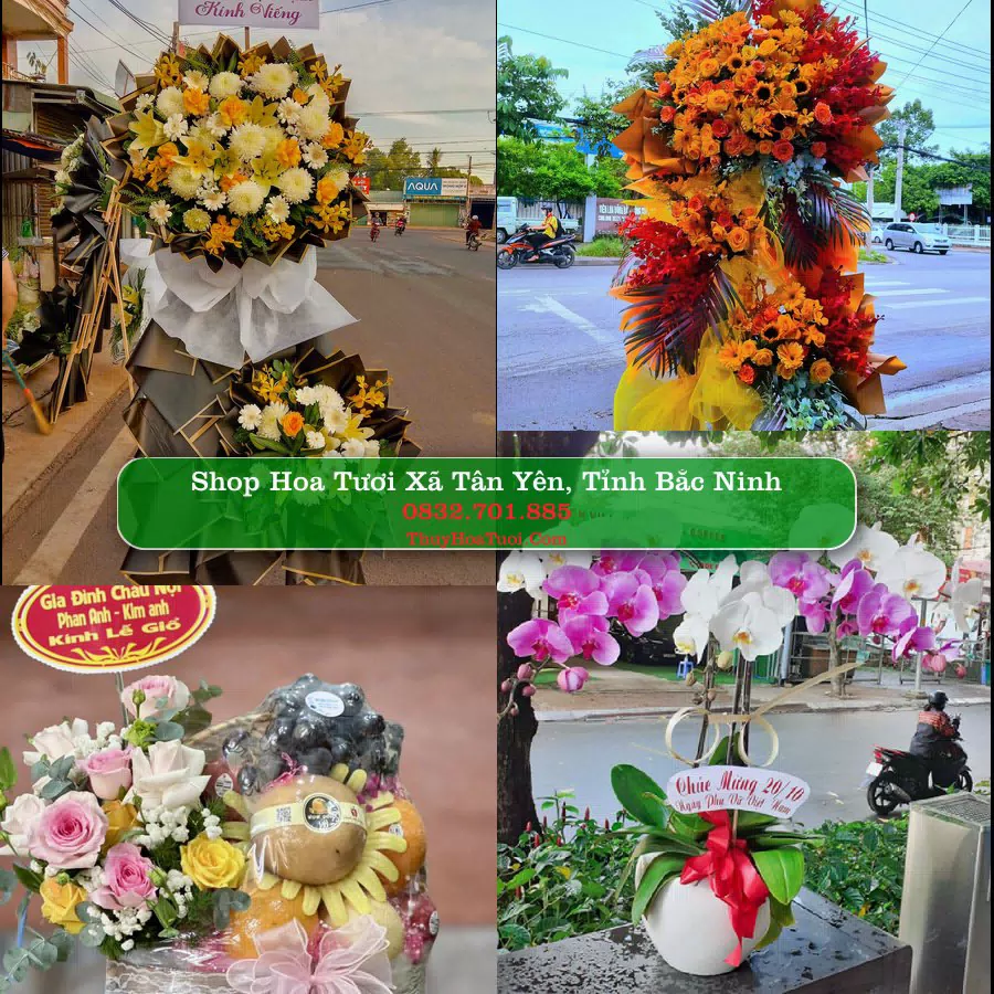 Shop Hoa Tươi Xã Tân Yên - Tỉnh Bắc Ninh