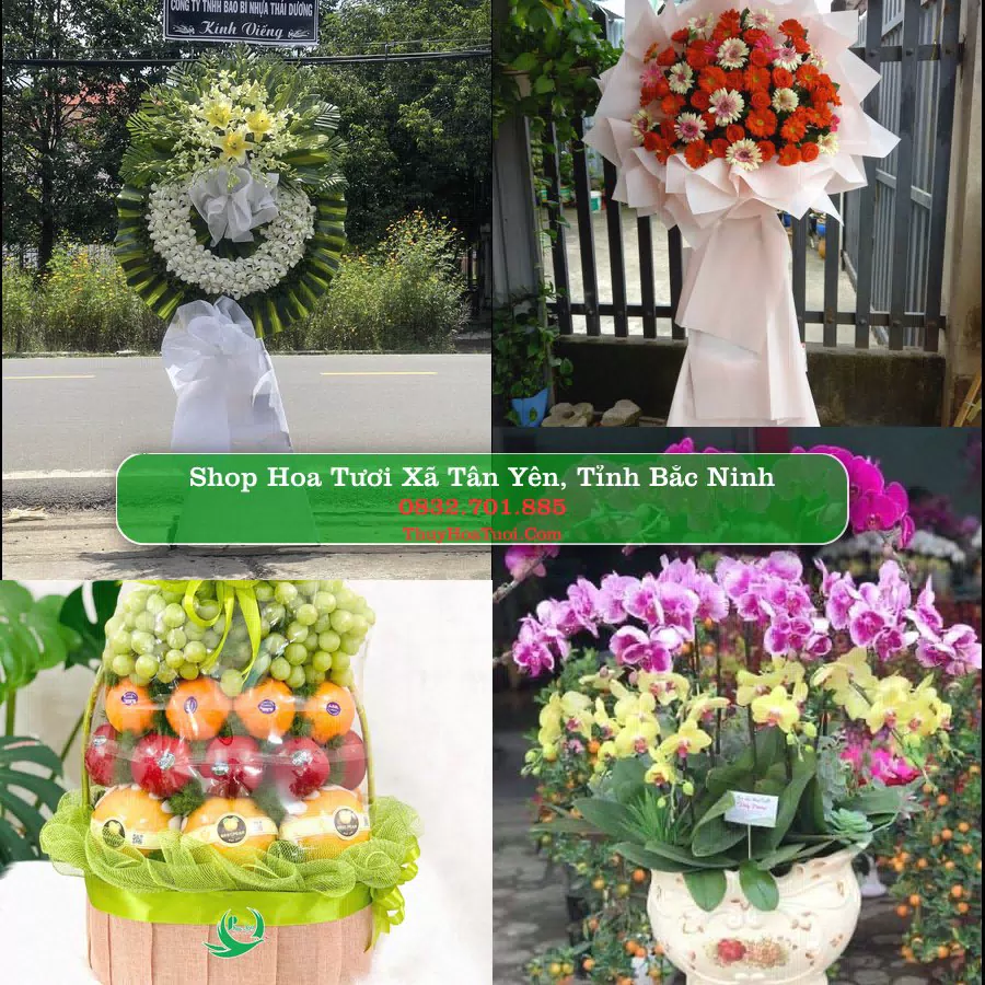 Shop hoa tươi Xã Tân Yên, Tỉnh Bắc Ninh - ThuyHoaTuoi.Com giao hoa tận nơi