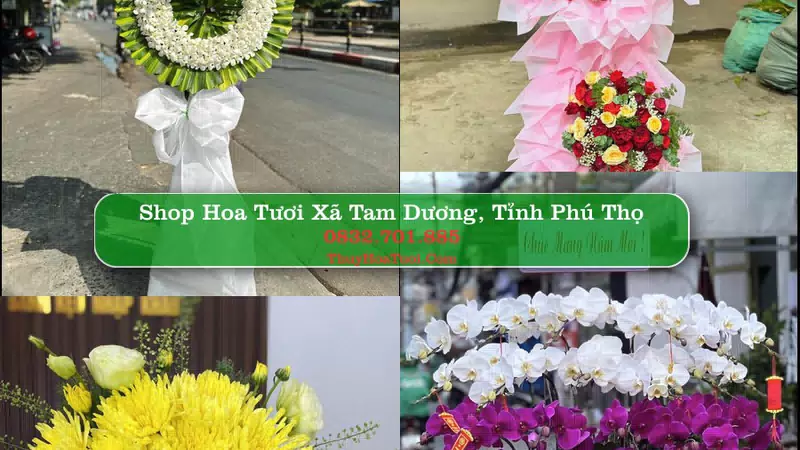 Shop Hoa Tươi Xã Tam Dương - Tỉnh Phú Thọ