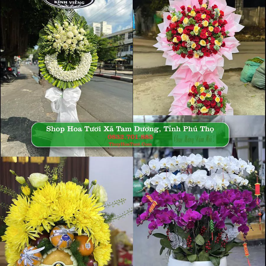 Shop Hoa Tươi Xã Tam Dương - Tỉnh Phú Thọ