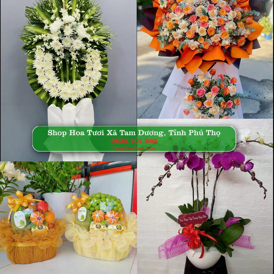 Shop hoa tươi Xã Tam Dương, Tỉnh Phú Thọ - ThuyHoaTuoi.Com giao hoa tận nơi