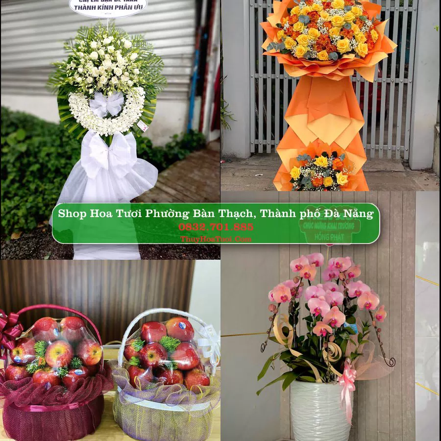 Shop hoa tươi Phường Bàn Thạch, Thành phố Đà Nẵng - ThuyHoaTuoi.Com giao hoa tận nơi