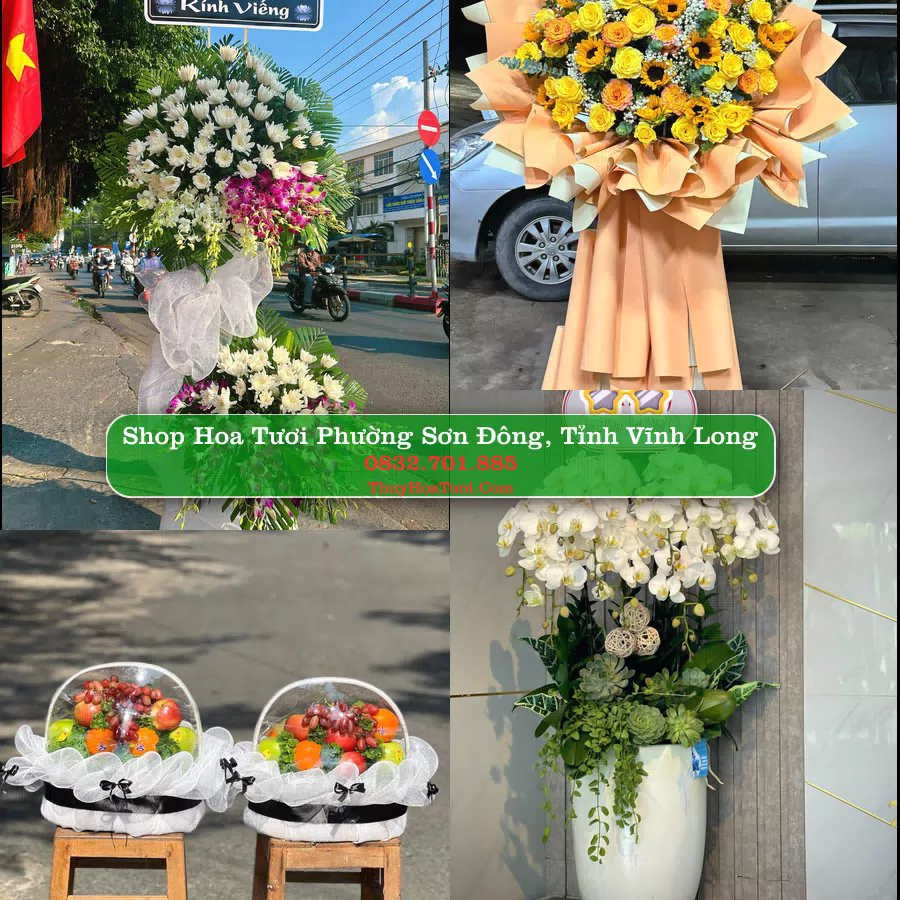 Shop hoa tươi Phường Sơn Đông, Tỉnh Vĩnh Long - ThuyHoaTuoi.Com giao hoa tận nơi