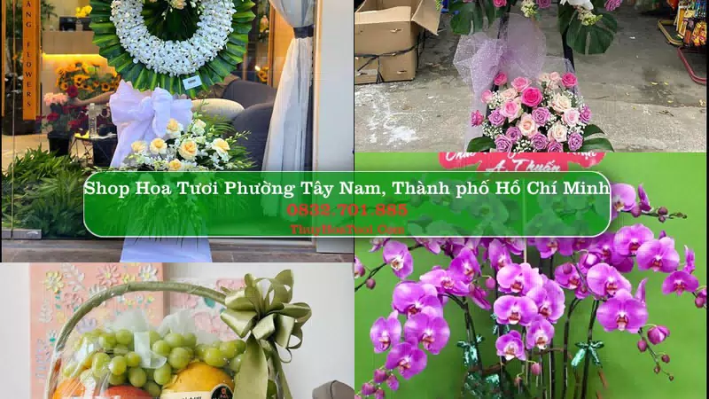 Shop Hoa Tươi Phường Tây Nam - Thành phố Hồ Chí Minh