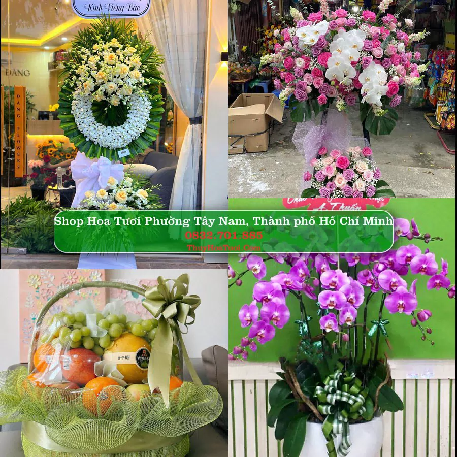 Shop Hoa Tươi Phường Tây Nam - Thành phố Hồ Chí Minh