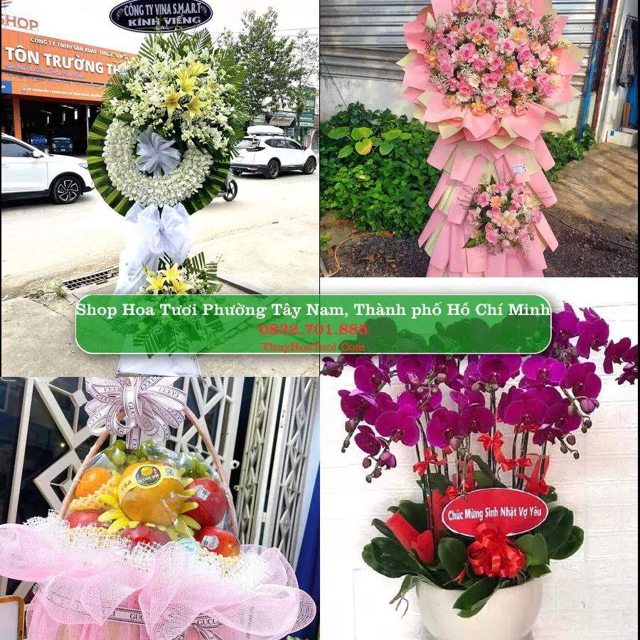 Shop hoa tươi Phường Tây Nam, Thành phố Hồ Chí Minh - ThuyHoaTuoi.Com giao hoa tận nơi