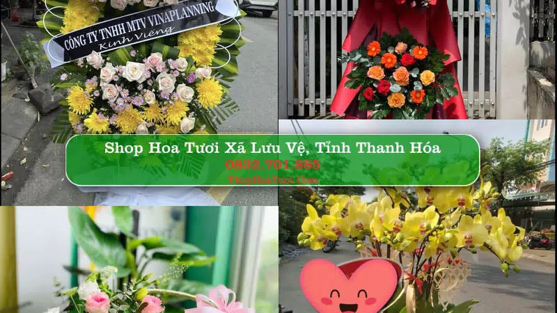 Shop Hoa Tươi Xã Lưu Vệ - Tỉnh Thanh Hóa