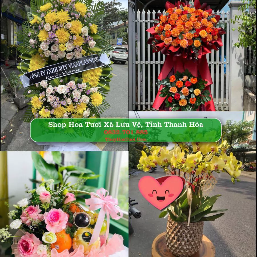 Shop Hoa Tươi Xã Lưu Vệ - Tỉnh Thanh Hóa