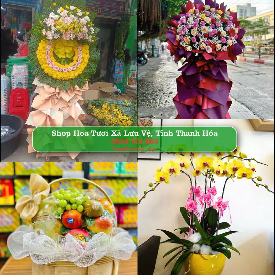 Shop hoa tươi Xã Lưu Vệ, Tỉnh Thanh Hóa - ThuyHoaTuoi.Com giao hoa tận nơi