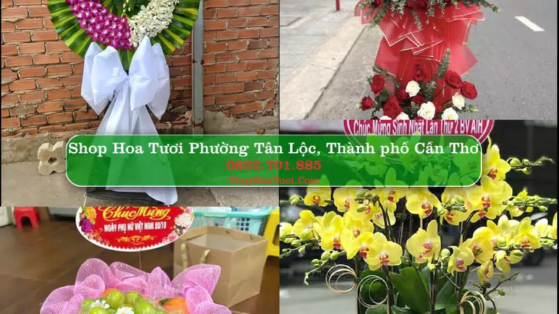 Shop Hoa Tươi Phường Tân Lộc - Thành phố Cần Thơ