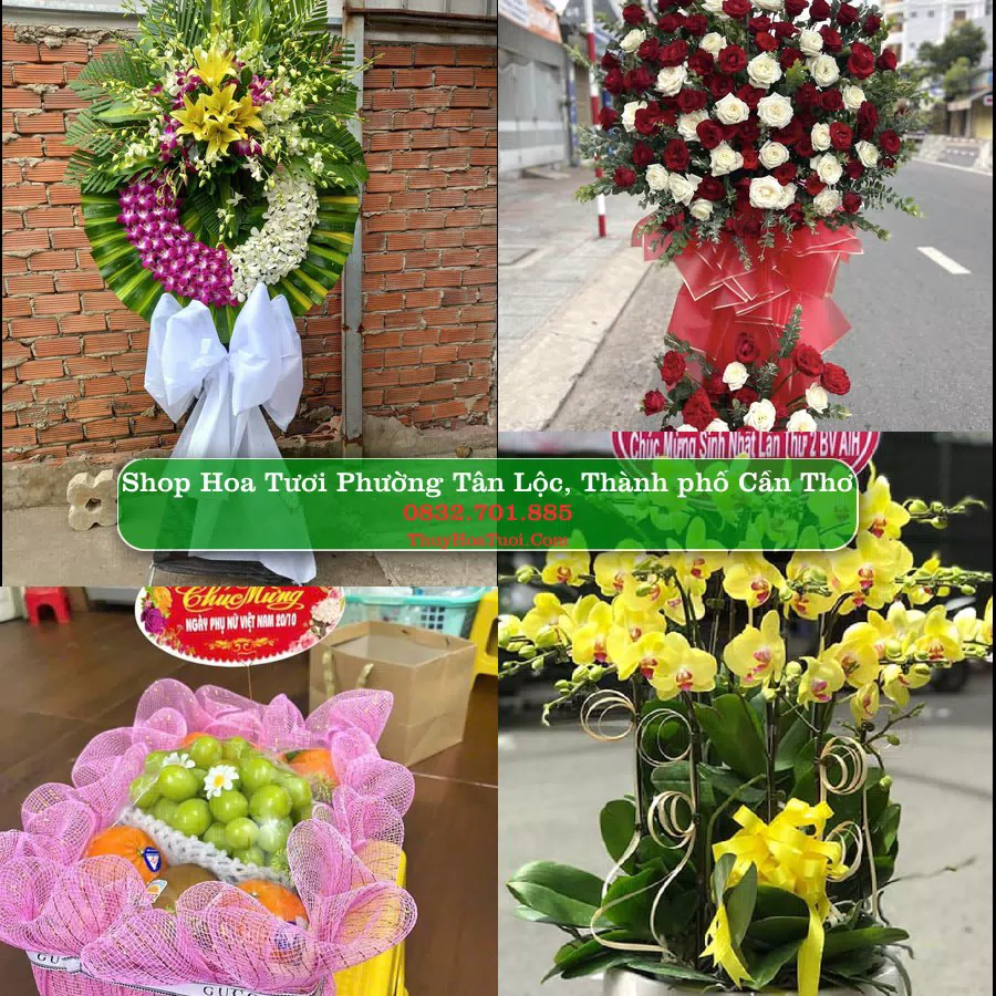 Shop Hoa Tươi Phường Tân Lộc - Thành phố Cần Thơ