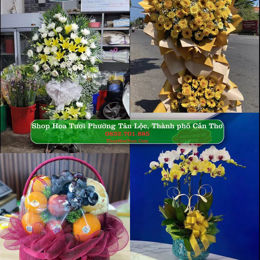 Shop hoa tươi Phường Tân Lộc, Thành phố Cần Thơ - ThuyHoaTuoi.Com giao hoa tận nơi