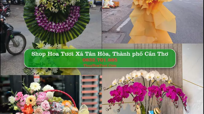 Shop Hoa Tươi Xã Tân Hòa - Thành phố Cần Thơ