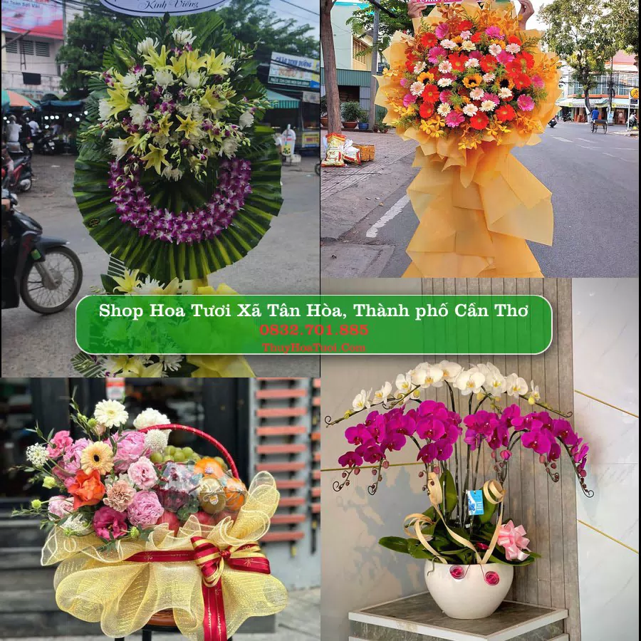 Shop Hoa Tươi Xã Tân Hòa - Thành phố Cần Thơ