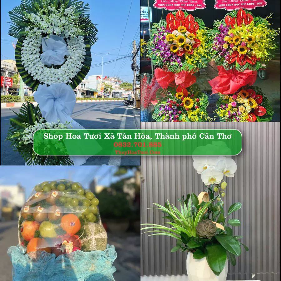 Shop hoa tươi Xã Tân Hòa, Thành phố Cần Thơ - ThuyHoaTuoi.Com giao hoa tận nơi