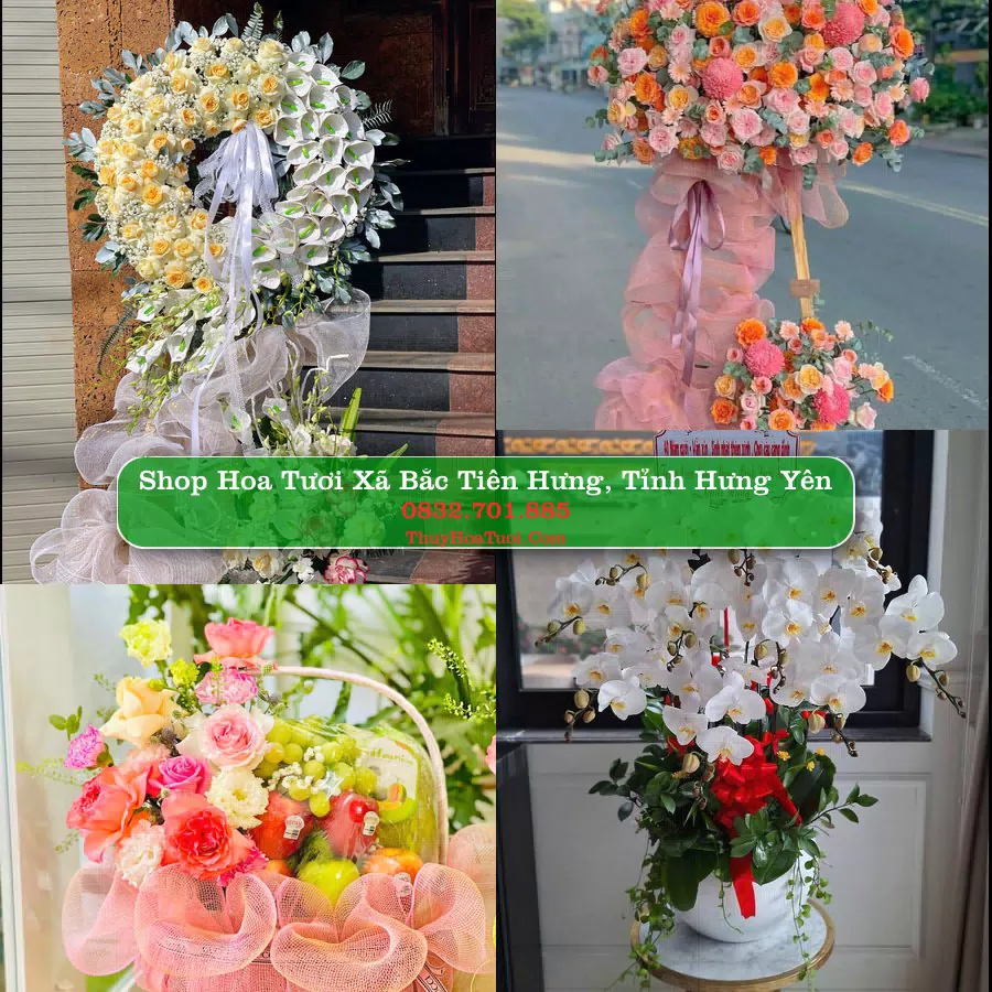 Shop Hoa Tươi Xã Bắc Tiên Hưng - Tỉnh Hưng Yên
