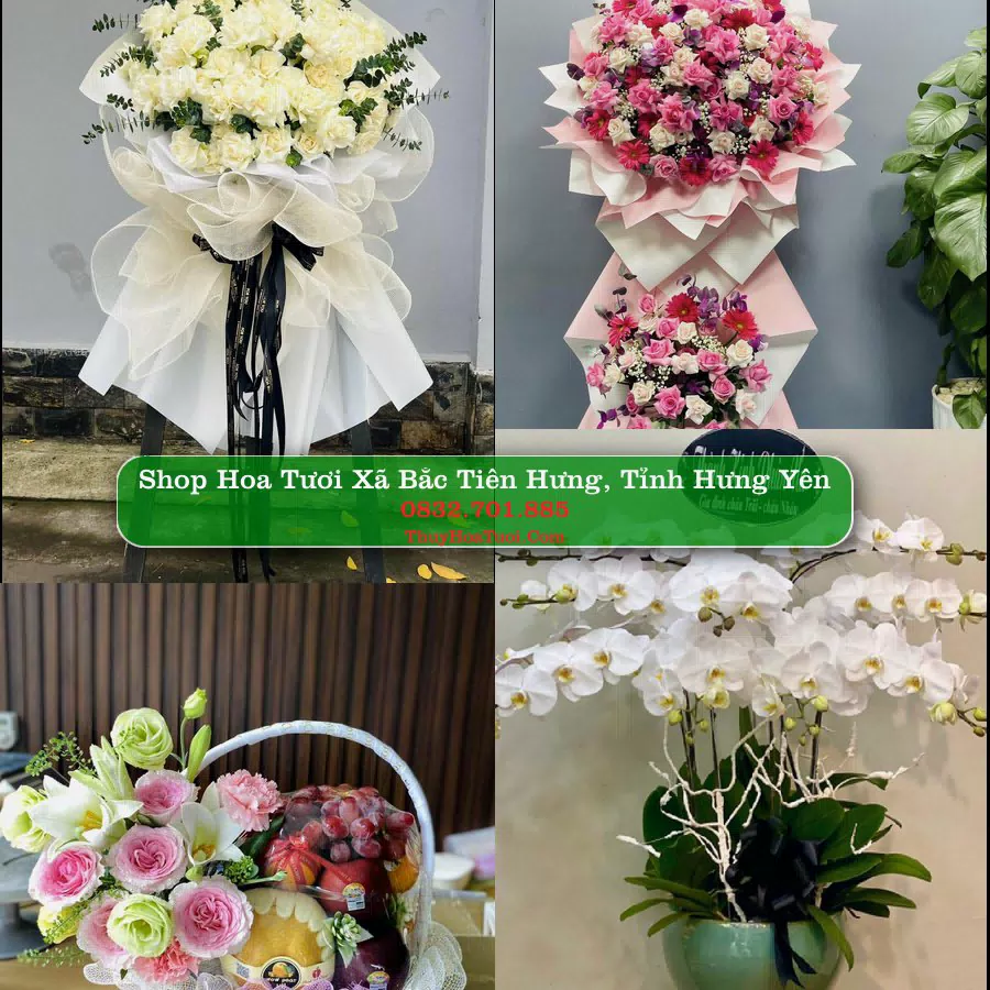Shop hoa tươi Xã Bắc Tiên Hưng, Tỉnh Hưng Yên - ThuyHoaTuoi.Com giao hoa tận nơi