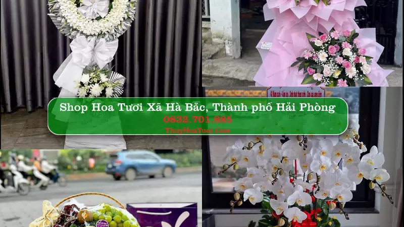 Shop Hoa Tươi Xã Hà Bắc - Thành phố Hải Phòng
