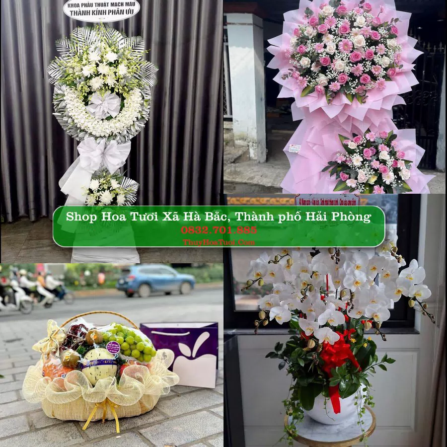 Shop Hoa Tươi Xã Hà Bắc - Thành phố Hải Phòng
