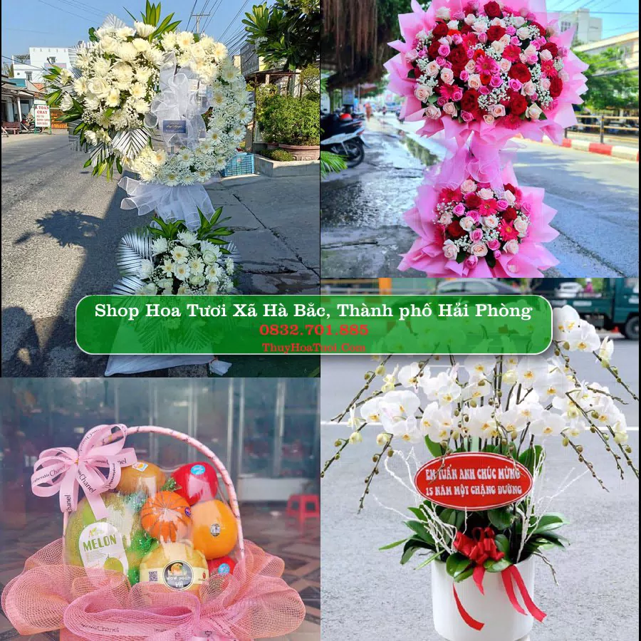 Shop hoa tươi Xã Hà Bắc, Thành phố Hải Phòng - ThuyHoaTuoi.Com giao hoa tận nơi