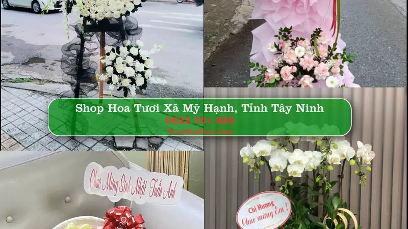 Shop Hoa Tươi Xã Mỹ Hạnh - Tỉnh Tây Ninh