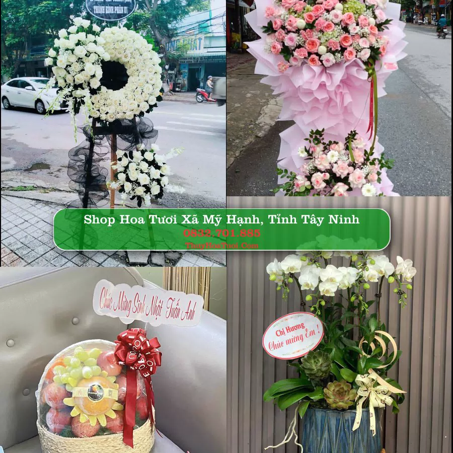 Shop Hoa Tươi Xã Mỹ Hạnh - Tỉnh Tây Ninh