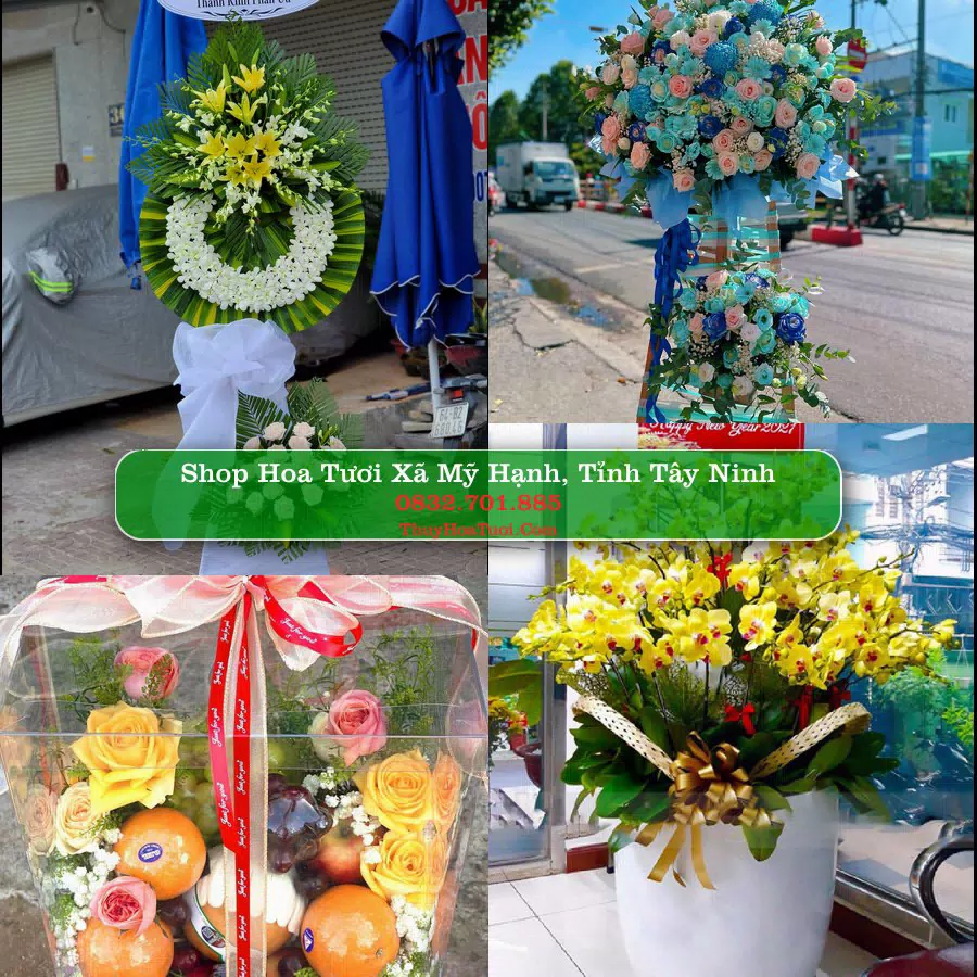 Shop hoa tươi Xã Mỹ Hạnh, Tỉnh Tây Ninh - ThuyHoaTuoi.Com giao hoa tận nơi
