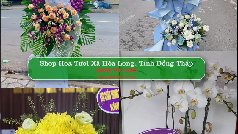 Shop Hoa Tươi Xã Hòa Long - Tỉnh Đồng Tháp