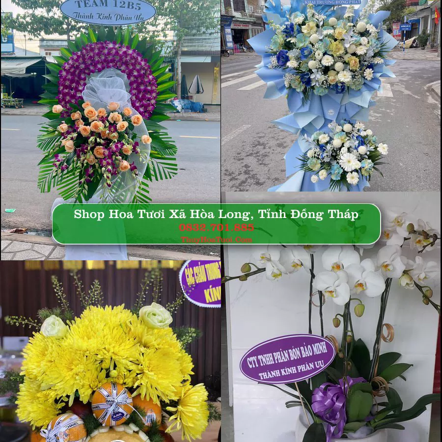 Shop Hoa Tươi Xã Hòa Long - Tỉnh Đồng Tháp