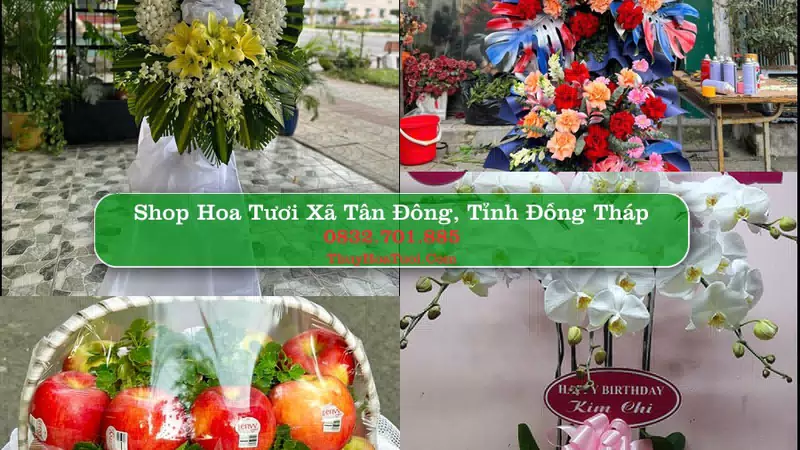 Shop Hoa Tươi Xã Tân Đông - Tỉnh Đồng Tháp