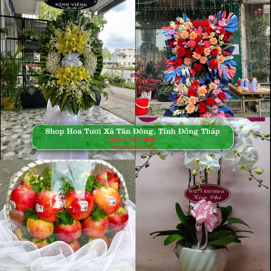 Shop Hoa Tươi Xã Tân Đông - Tỉnh Đồng Tháp