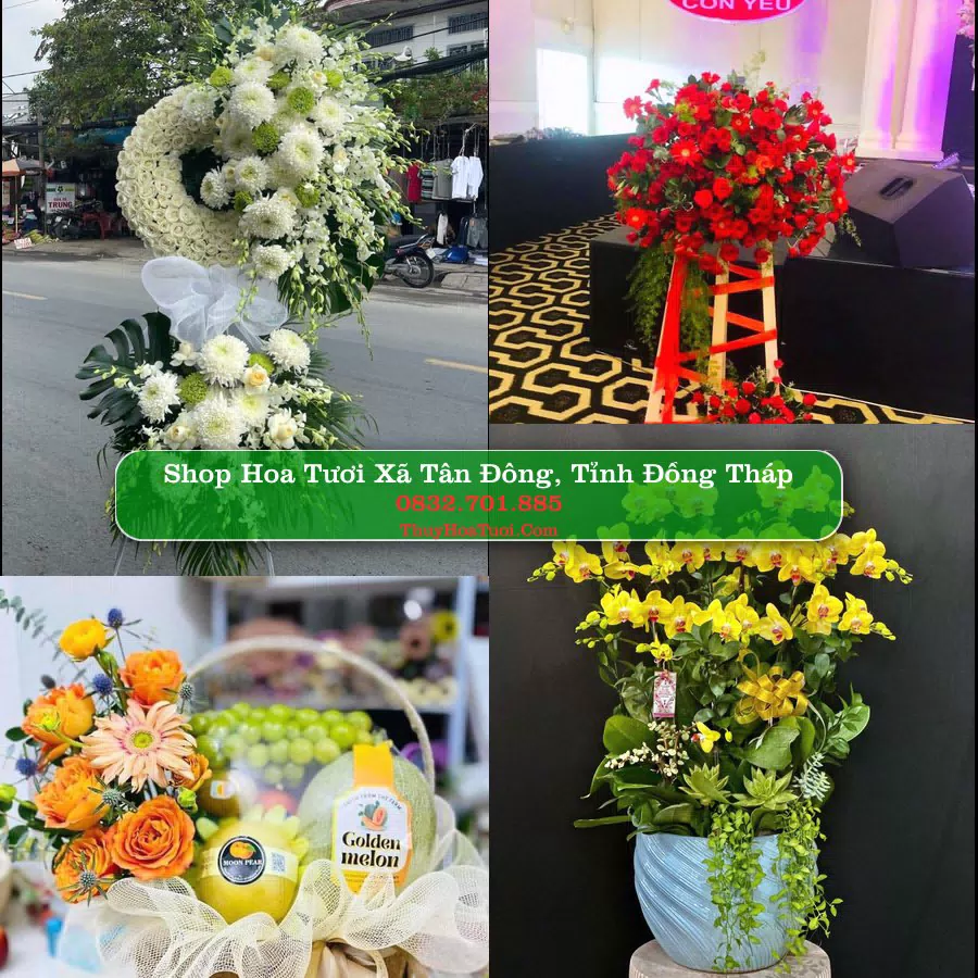 Shop hoa tươi Xã Tân Đông, Tỉnh Đồng Tháp - ThuyHoaTuoi.Com giao hoa tận nơi